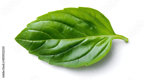 Single vibrant green basil leaf with prominent veins, captured in sharp detail against a pure white backdrop.