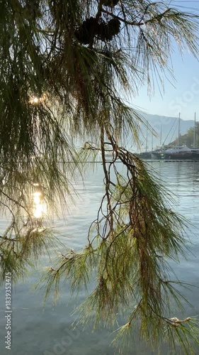 Istanbul ankara Pergamon Cappadocia turkey turkiye 