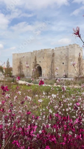Istanbul ankara Pergamon Cappadocia turkey turkiye 