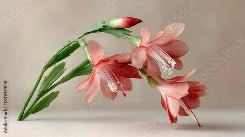 Wallpaper Mural   A macro of a bloom on an accent table, with a hazy backdrop and a verdant stalk upfront Torontodigital.ca