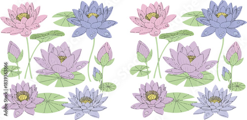 Water lily puzzle, spot the difference, blooming flowers, lily pads, visual game, botanical art, pink, purple, blue, symmetrical layout