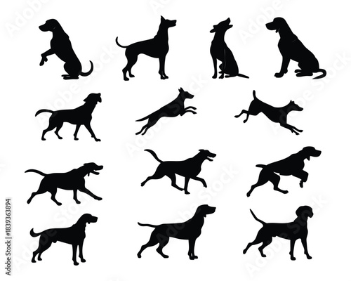 A graphic illustration featuring a variety of dog breeds depicted as black silhouettes in dynamic and static poses