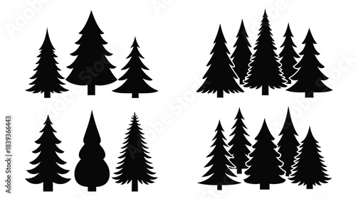 A collection of black silhouette coniferous trees in varying shapes and sizes