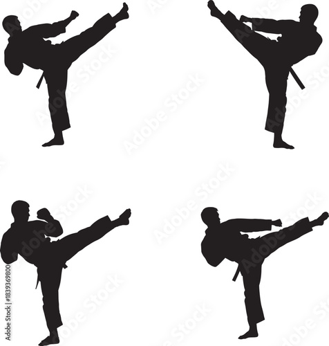 Silhouette of martial artist performing dynamic high kicks in four different poses