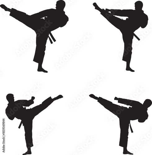 Four silhouette figures performing dynamic martial arts kicks