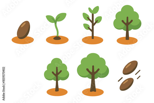 Tree Growth Icons. Tree Growth Stages isometric flat set: seed, sprout, young sapling, small tree, mature tree, seed dispersal icon.