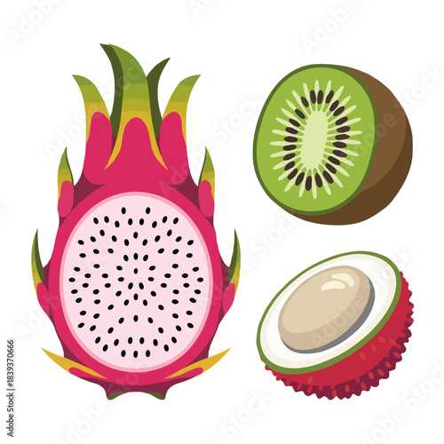 Vibrant illustration of a halved dragon fruit a sliced kiwi and a cut rambutan fruit isolated on white background