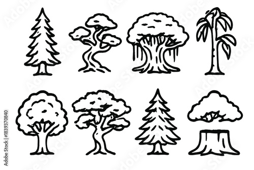 Tree Icons Collection. Worldwide tree collection linear set: redwood tree, juniper tree, banyan tree, eucalyptus tree, beech tree, tamarind tree, hemlock tree, cedar stump