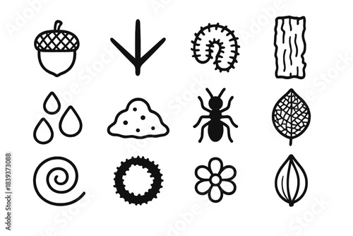 Nature Symbol Icons. Neighborhood Nature Clues linear set: acorn shell, bird track, caterpillar curl, bark strip, dew beads, soil mound, insect silhouette, leaf skeleton, snail