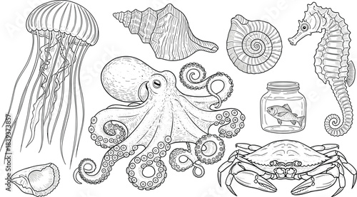 Detailed Engraving Style Vector Set of Sea Creatures, Octopus, Crab, Jellyfish, Seahorse, Shells, Ocean Life, Marine Animal Collection.