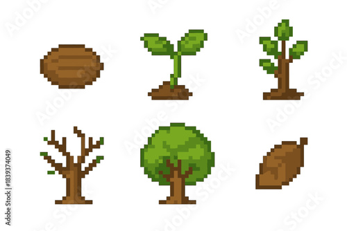 Tree Growth Icons. Arboreal Development Set set of icons in flat pixel vector style: seed pod, germinating sprout, tender sapling, branching juvenile tree, full-grown tree, leaf