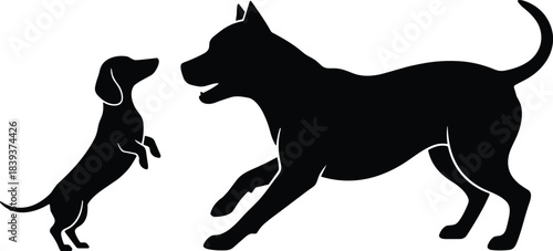Silhouettes of two dogs interacting playfully, capturing contrast in size, posture, and canine curiosity