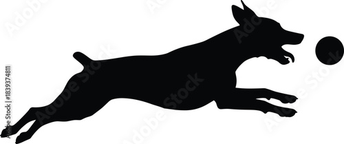 Silhouette of energetic dog leaping mid-air toward ball, capturing playful motion, agility, and joyful pet interaction