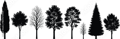 Silhouettes of eight distinct tree types in a row, showcasing seasonal variation and botanical diversity in foliage and structure