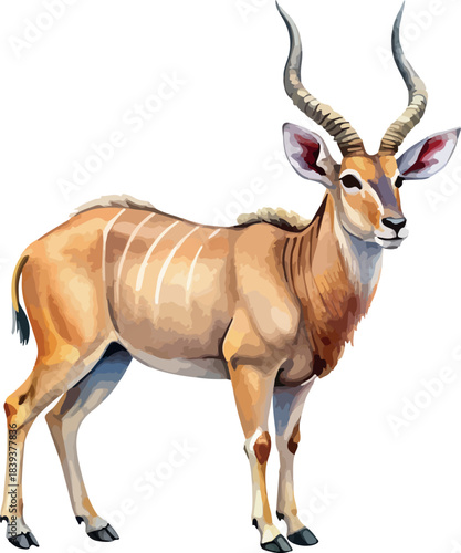 Realistic African Antelope Wild Life Watercolor Vector Illustration