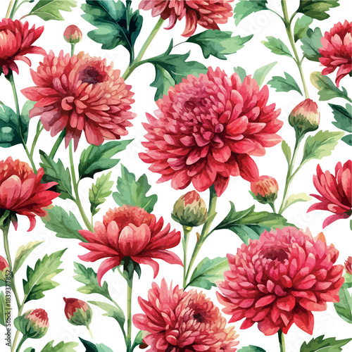 Red Chrysanthemum Flowers Botanical Watercolor Vector Seamless Pattern on White Background