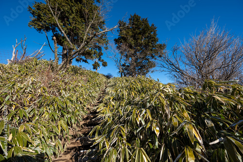 Climbing Mount Tonodake and Tanzawa, Kanagawa, Japan