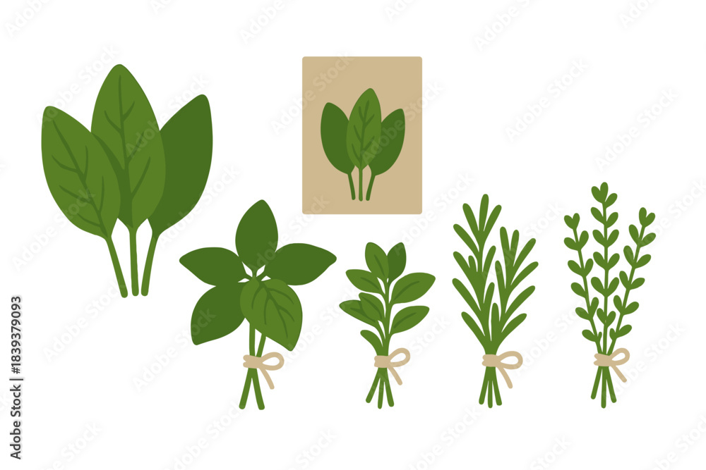 Naklejka premium Fresh herbs showcased with a brown paper bag on a white background in an organized display for cooking and gardening purposes