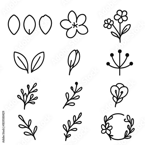 Floral Line Icons. Floral Concept Elements linear set: petal shape set, flower silhouette, blossom cluster, floral stem, leaf pair, bud form, pollen center, stamen outline, pistil