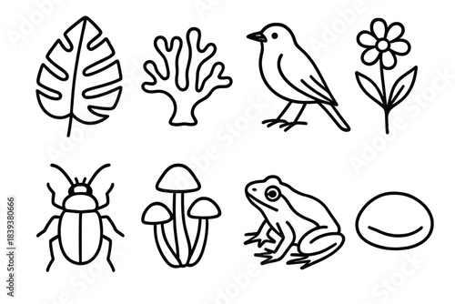 Outlined Nature Icons. Biodiversity set linear set: rainforest leaf, coral fragment, songbird, beetle, wildflower, mushroom cluster, frog, river stone.
