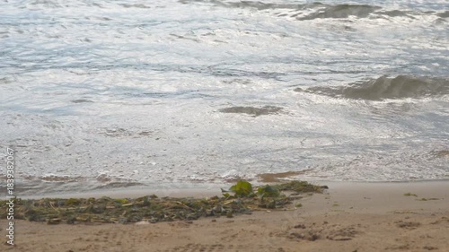 Small waves on the shore of a sandy beach. Algae on the sand in front of the water. Camera panning