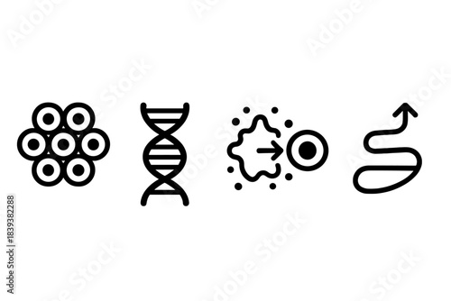 Tissue Renewal Icons. Tissue Renewal Frameworks linear set: proliferation-strand tile, damage-repair mote, rejuvenation-path bar.