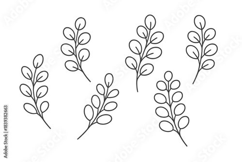 Minimalist outline botanical branches with simple oval leaves