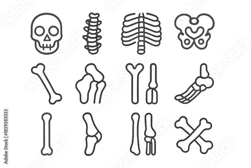 Human skeletal system outline icons set with skull spine ribs pelvis and limb joints