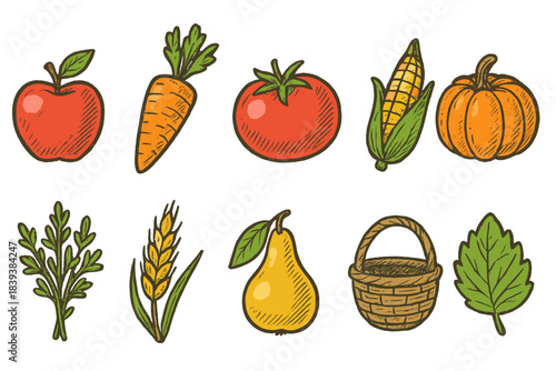 Autumn, harvest flat icon set. Seasonal fruits and vegetables flat illustrations