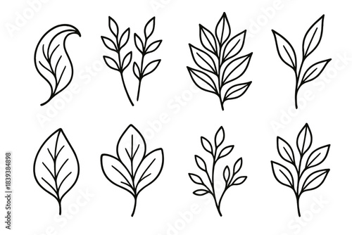 Botanical Leaf Icons. Organic Leaf Forms linear set: curled leaf, twin sprigs, layered foliage, delicate stem, botanical outline, leaf vein detail, soft petal-like leaf, woodland