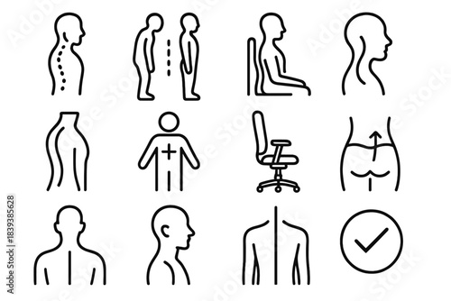 Spine Alignment Icons. Spine Alignment Essentials linear set: neutral spine icon, posture guide, lumbar support, cervical curve outline, thoracic alignment, core stability symbol,