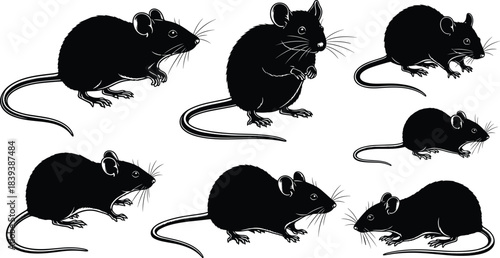 Collection of house mouse and rat silhouettes in various poses, side view, rodent pest animal black vector graphic illustration set isolated on white background.