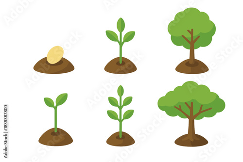 Tree Growth Icons. Tree Life Cycle isometric flat set: buried seed, early shoot, slender sapling, mid-growth tree, tall mature tree, canopy spread icon.