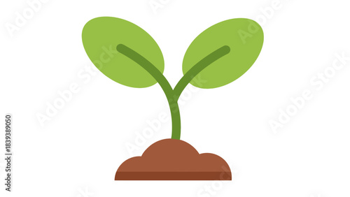 A young green seedling with two leaves emerging from rich brown soil, symbolizing growth and new beginnings.
