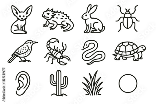 Desert Wildlife Icons. Desert Wildlife Elements linear set: desert fox, horned lizard, jackrabbit, dune beetle, cactus wren, scorpion, sand snake, desert tortoise, fennec ear icon,