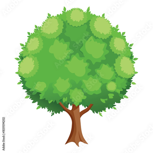 Beautiful green tree illustration with layered foliage and a textured trunk, in a clean, watercolor-style design