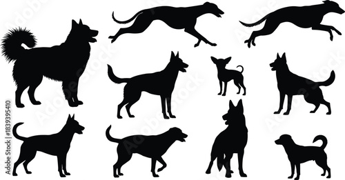 Collection of various dog silhouette vector illustrations featuring running, standing, and sitting canine poses, perfect for pet design projects, branding, and animal-themed graphics