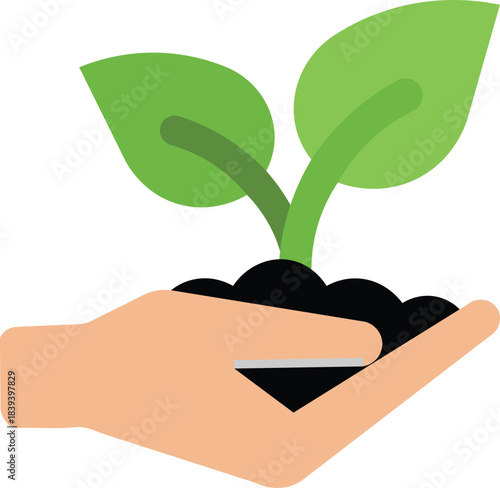 Seedling in hand white
