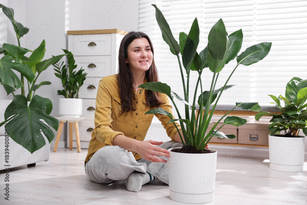 Naklejka premium Woman with different potted houseplants on floor at home