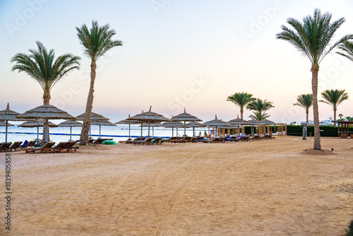 Fototapeta Naklejka Na Ścianę i Meble -  Sand beach with palm trees, umbrellas, and loungers during early morning near the ocean