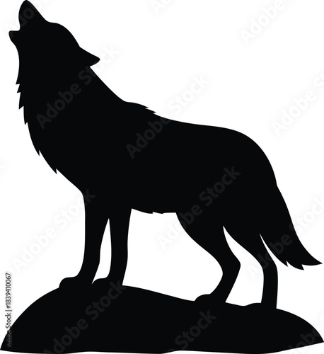 Wild wolf howling on a small rise silhouette representing freedom and the call of nature