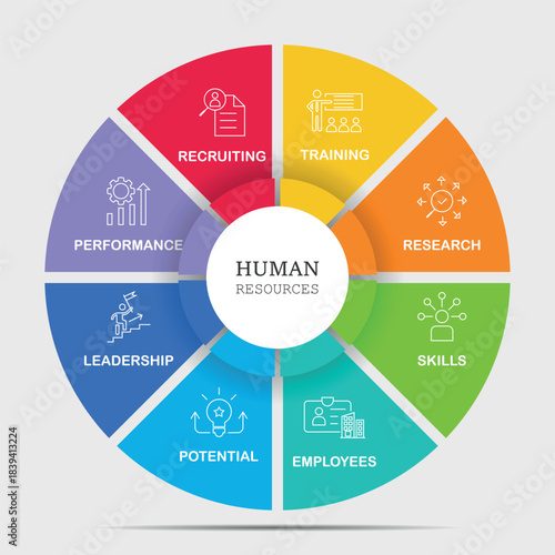 Responsibilities of Human Resources, Info graphic with 8 step, Illustration, Business, Management,  Hr, Circle, Strategy, Chart, Marketing, Data, Diagram, Communication, Presentation, Diagram, Step