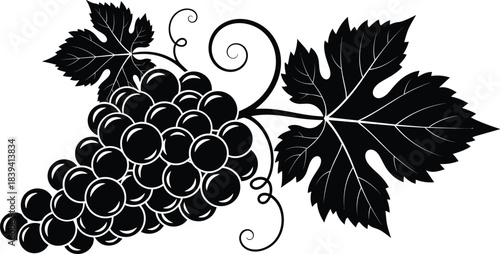Grapevine, silhouette, black and white, grapes, leaves, vine, tendrils, botanical, elegant, vintage, wine, agriculture, organic, decorative, illustration, symmetrical, stylized
