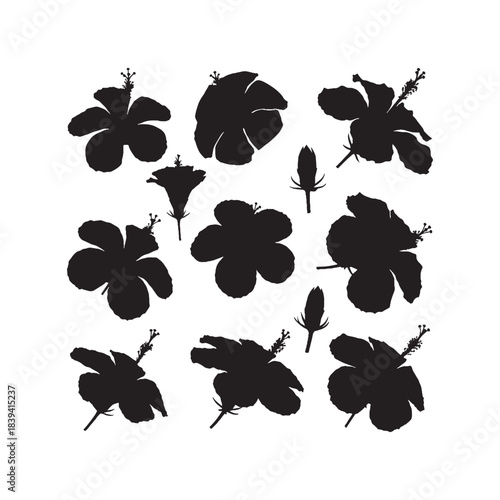 Hibiscus Flower Silhouettes Collection,Hibiscus Flowers Silhouettes,Vector Hibiscus Flower Silhouettes,Tropical Flower Silhouettes,hibiscus flower vector