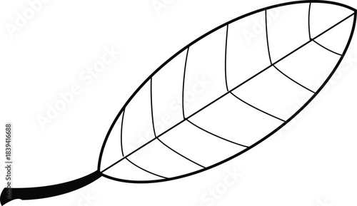Simple line art drawing of a single botanical leaf with prominent venation design element vector graphic. isolated on transparent background, Vector