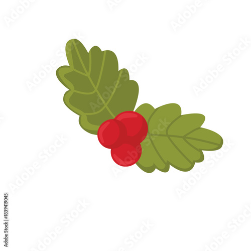 Christmas holly berry Vector icon, Isolate Xmas ornaments illustration design in Flat style con White background, vector 