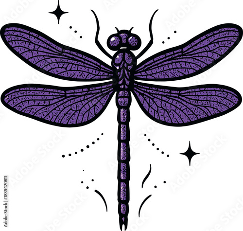 Mystical Dragonfly Insect Vector Graphic Design