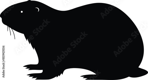 Striking Black Silhouette of a Groundhog or Marmot with Subtle Facial Details