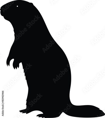 Alert Marmot Groundhog Silhouette Standing Upright on Hind Legs Surveying Surroundings