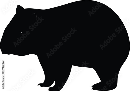 Distinct Black Wombat Silhouette with Subtle Eye Detail Standing in Side Profile for Design Elements